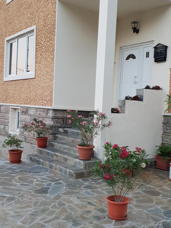 Pretty Garden Villa Orsova Luaran gambar